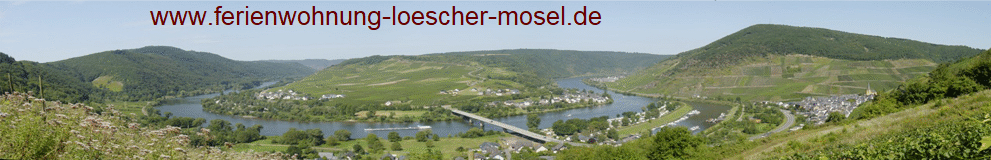 Moselschleife Senheim-Senhals